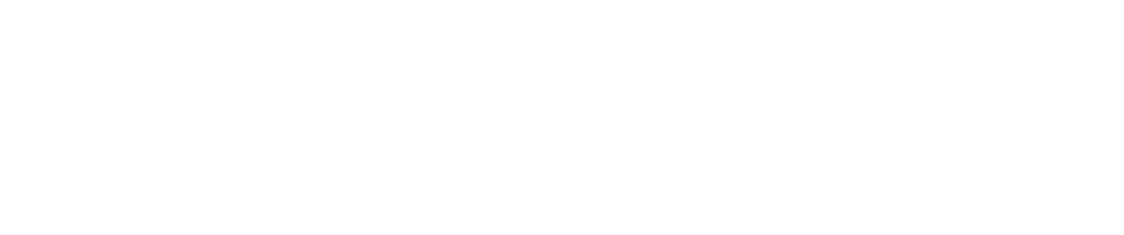 co-funded byt the EU